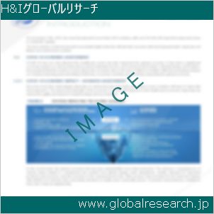 グローバルリサーチ調査レポートのイメージ